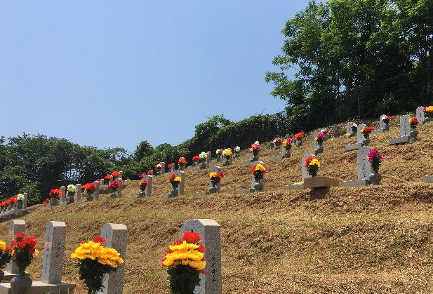 거제 군경합동 충혼묘지