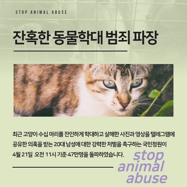 STOP ANIMAL ABUSE
잔혹한 동물학대 범죄 파장
최근 고양이 수십 마리를 잔인하게 학대하고 살해한 사진과 영상을 텔레그램에 공유한 의혹을 받는 20대 남성에 대한 강력한 처벌을 촉구하는 국민청원이 4월 21일 오전 11시 기준 47만명을 돌파하였습니다.
stop animal abuse