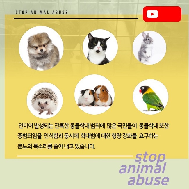 STOP ANIMAL ABUSE
연이어 발생되는 잔혹한 동물학대 범죄에 많은 국민들이 동물학대 또한 중범죄임을 인식함과 동시에 학대범에 대한 형량 강화를 요구하는 분노의 목소리를 쏟아 내고 있습니다.
stop animal abuse