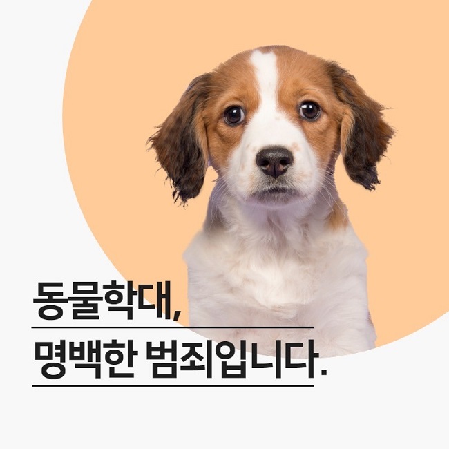동물학대, 명백한 범죄입니다.