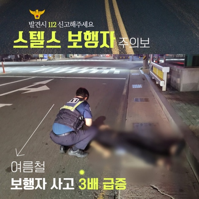 발견시 112 신고해주세요
스텔스 보행자 주의보
여름철 보행자 사고 3배 급증