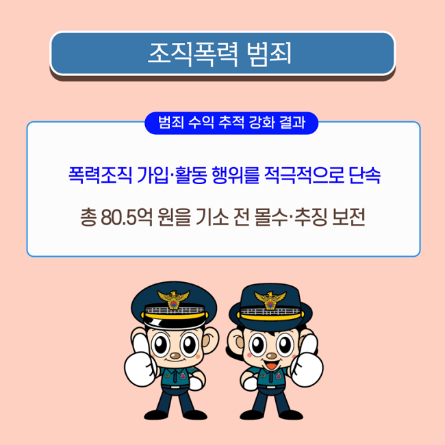 조직폭력 범죄
범죄 수익 추적 강화 결과
폭력조직 가입·활동 행위를 적극적으로 단속
총 80.5억 원을 기소 전 몰수·추징 보전