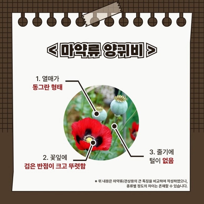 2024_전국_SNS_담당자_사진_20240509_4.jpg