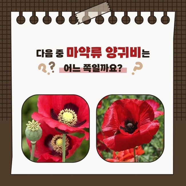 2024_전국_SNS_담당자_사진_20240509_2.jpg