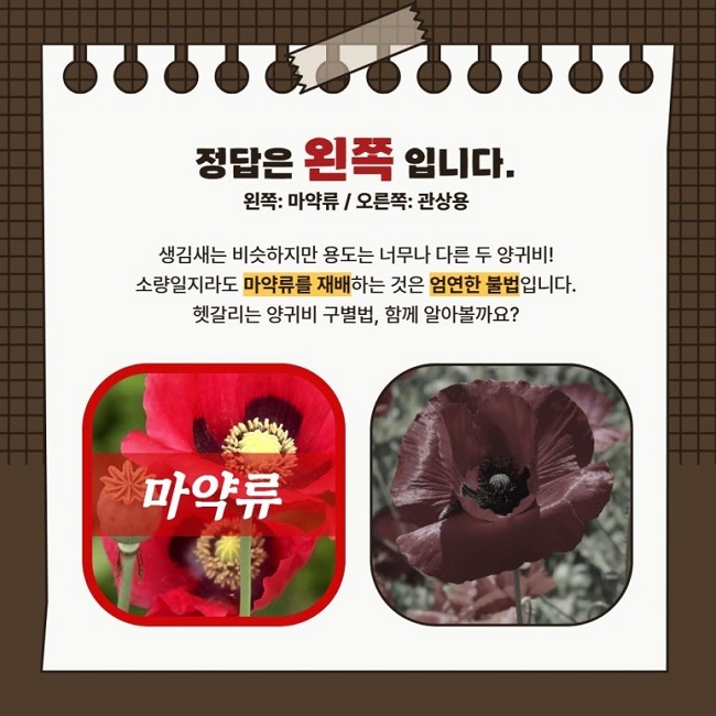 2024_전국_SNS_담당자_사진_20240509_3.jpg
