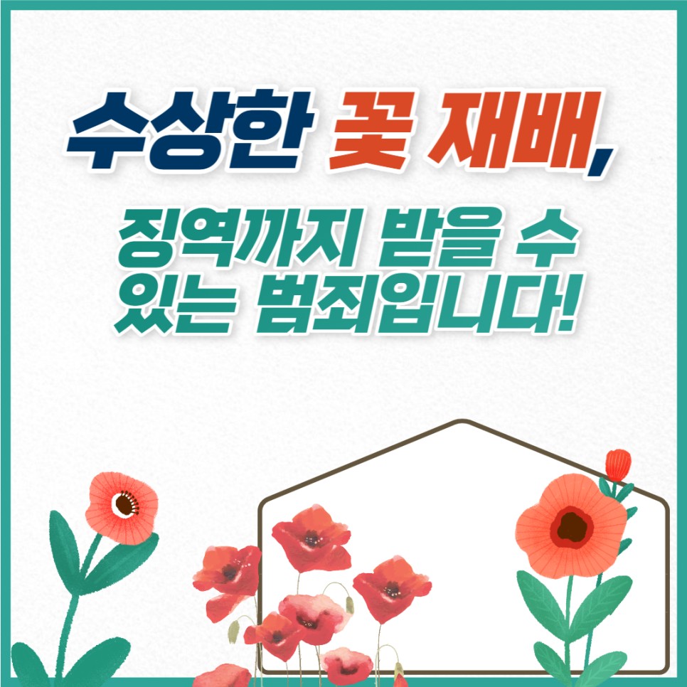 수상한 꽃 재배, 징역까지 받을 수 있는 범죄입니다!