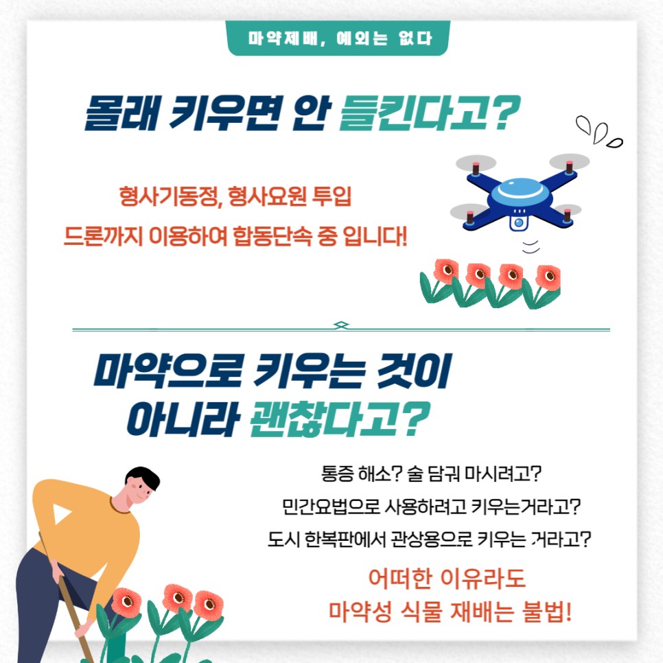 마약재배, 예외는 없다 몰래 키우면 안 들킨다고? 형사기동정, 형사요원 투입 드론까지 이용하여 합동단속 중 입니다! 마약으로 키우는 것이 아니라 괜찮다고? 통증 해소? 술 담궈 마시려고? 민간요법으로 사용하려고 키우는거라고? 도시 한복판에서 관상용으로 키우는거라고? 어떠한 이유라도 마약성 식물 재배는 불법!