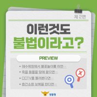 이런것도 불법이라고?_2편