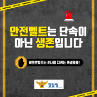 안전띠는 단속이 아니라 생존입니다!